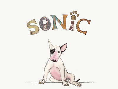 Kinderbuch Illustrationen Sonic - Der kleine Bulli01