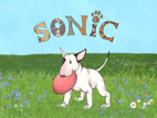 Sonic -der kleine Bulli Kinderbuch 2005 Münster